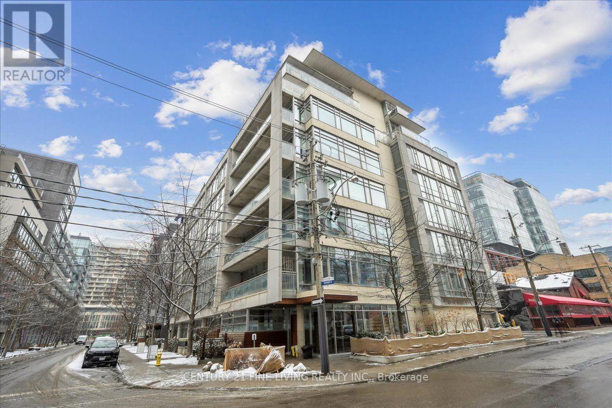 211 - 66 Portland Street, Toronto, Ontario  M5V 2M6 - Photo 43 - C13715854
