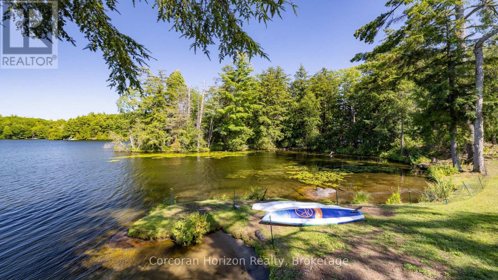 157 Nicholson Road, Georgian Bay (Baxter), Ontario  L0K 1S0 - Photo 9 - X13715910