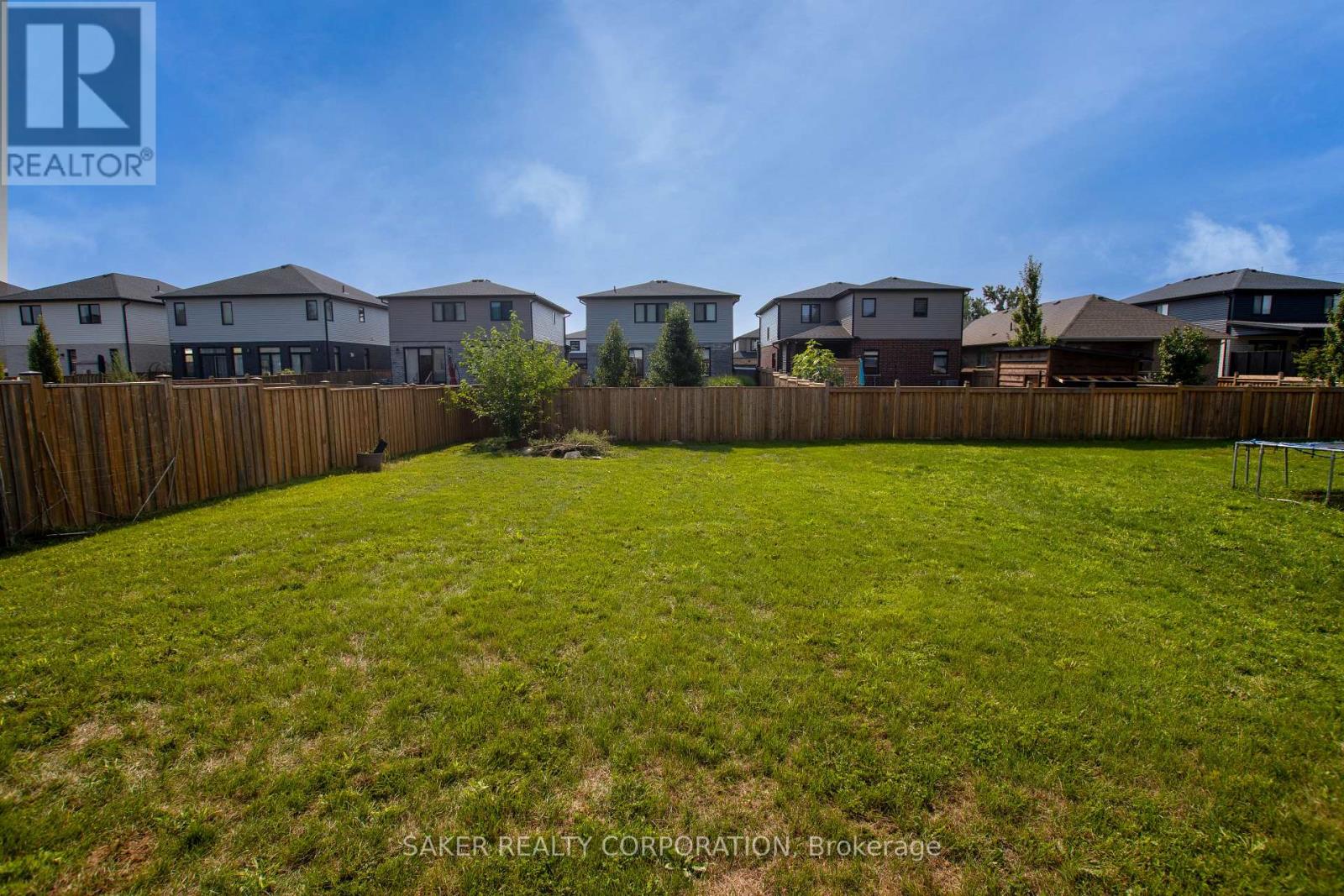 16 Armstrong Street, Strathroy-Caradoc, Ontario  N0L 1E0 - Photo 29 - X13716040