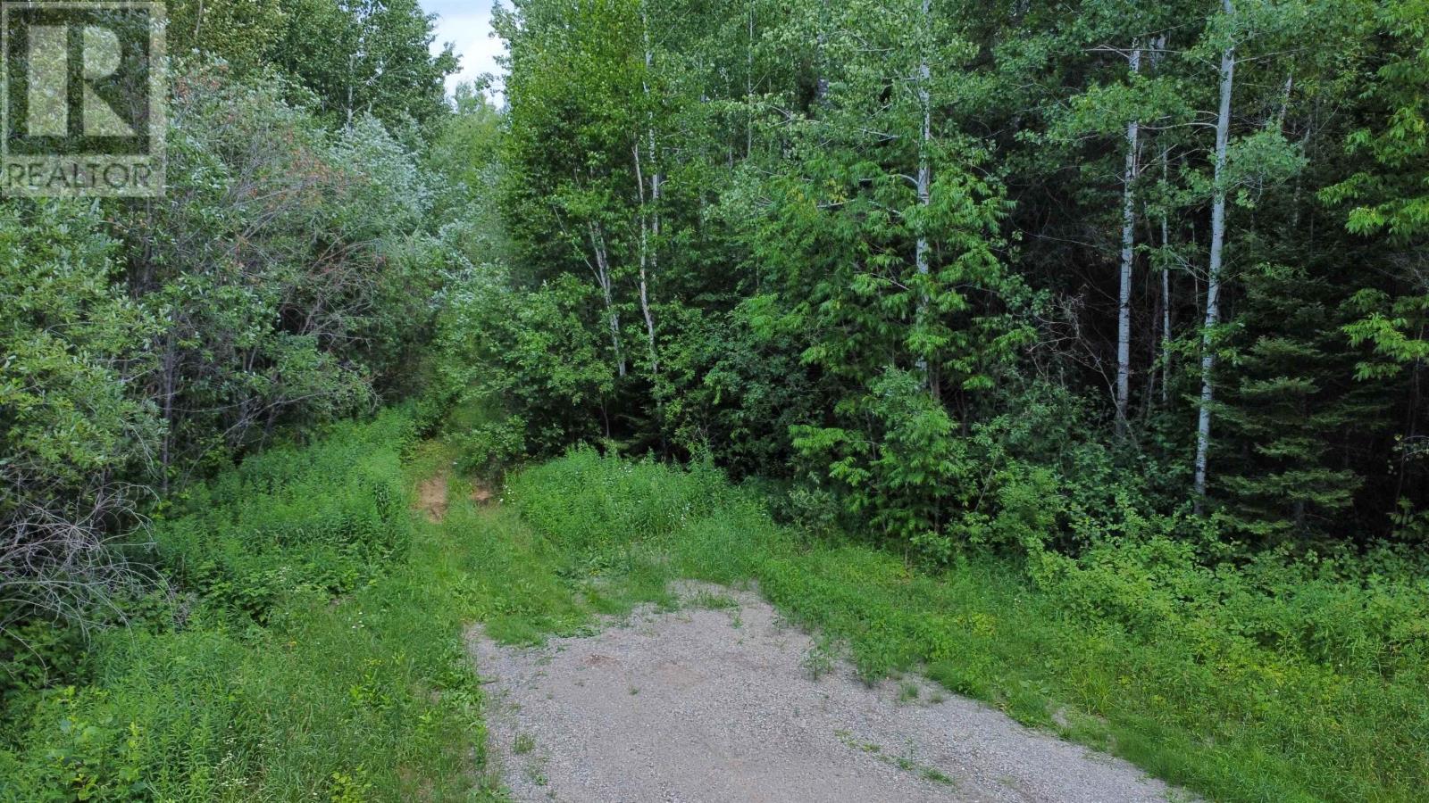 0 Thomas Rd, Marks Township, Ontario  P0T 2K0 - Photo 3 - TB2602537