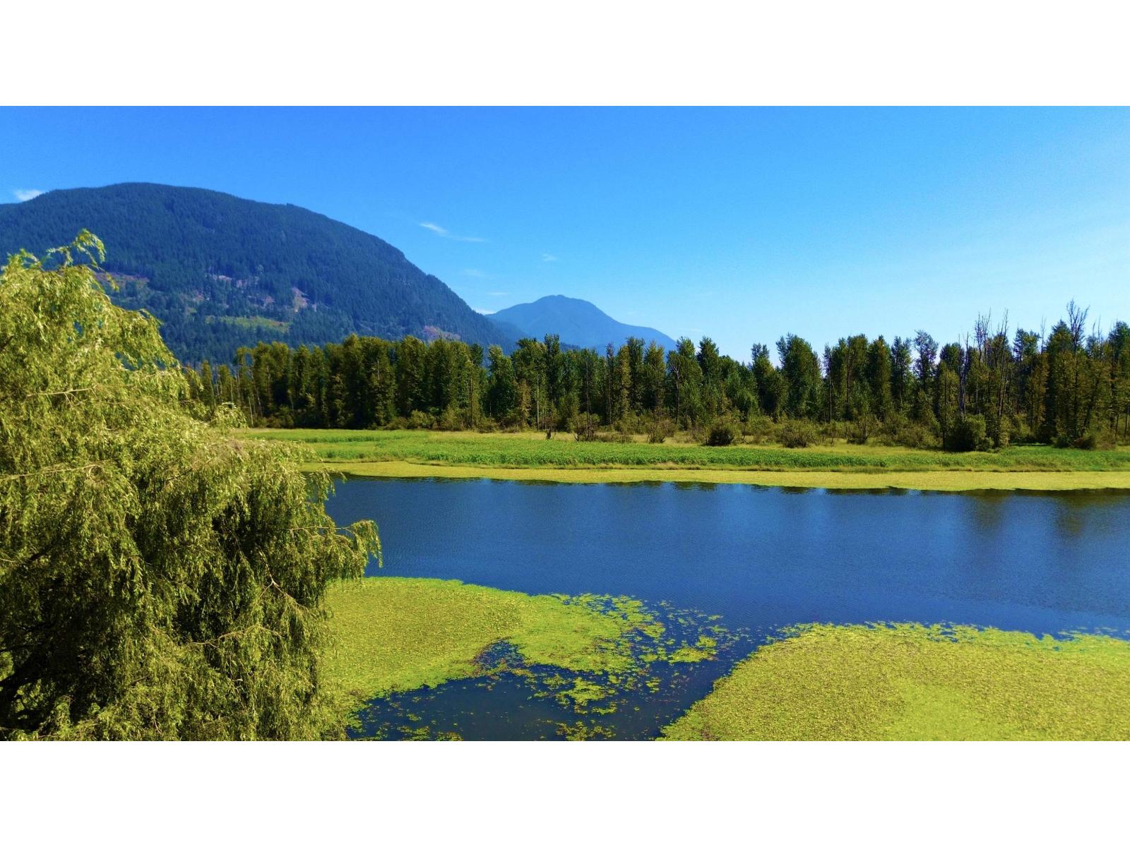 8586 SHOOK ROAD, Mission, British Columbia