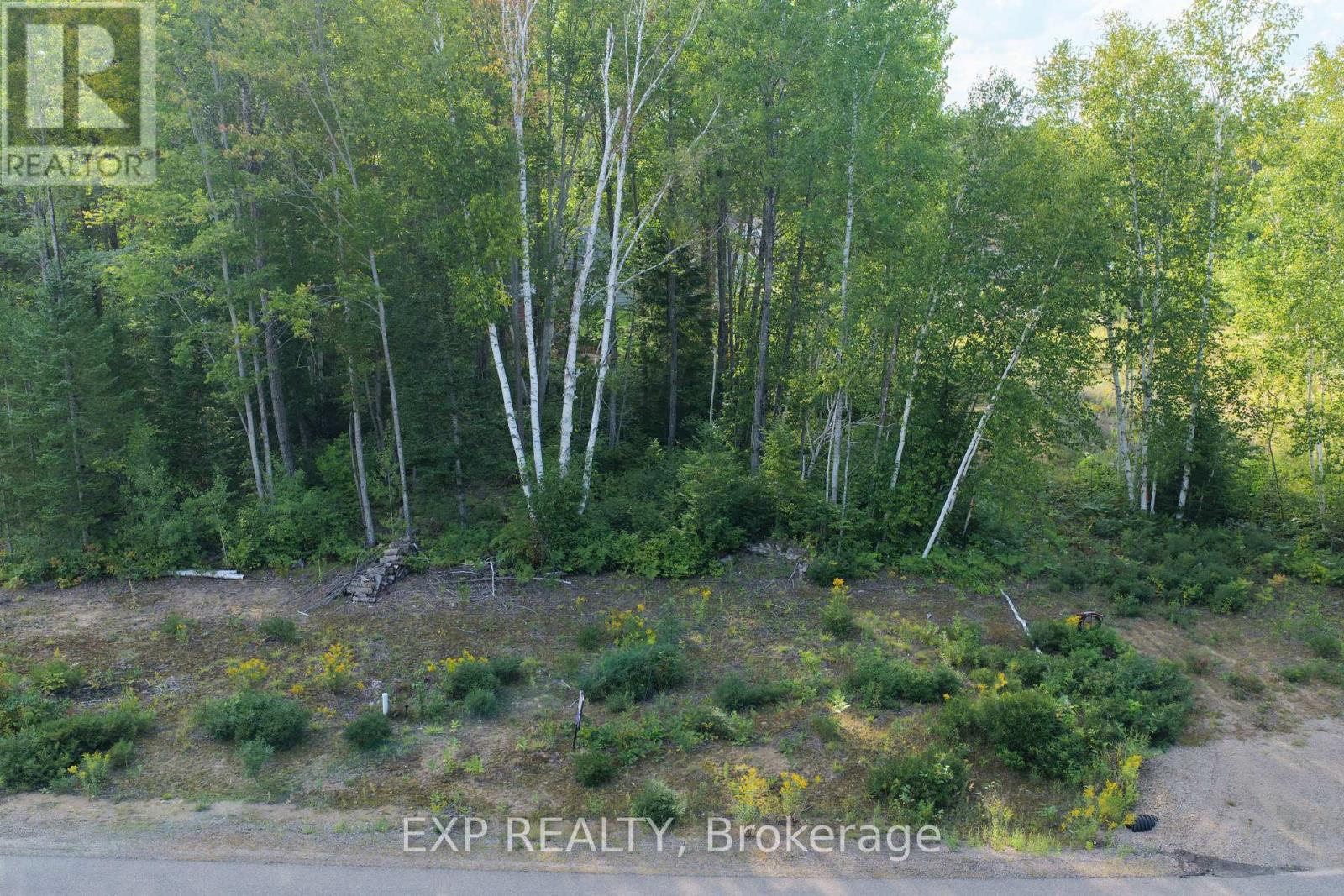 Lot 14 Birchview Drive, Madawaska Valley, Ontario  K0J 1B0 - Photo 4 - X13716204
