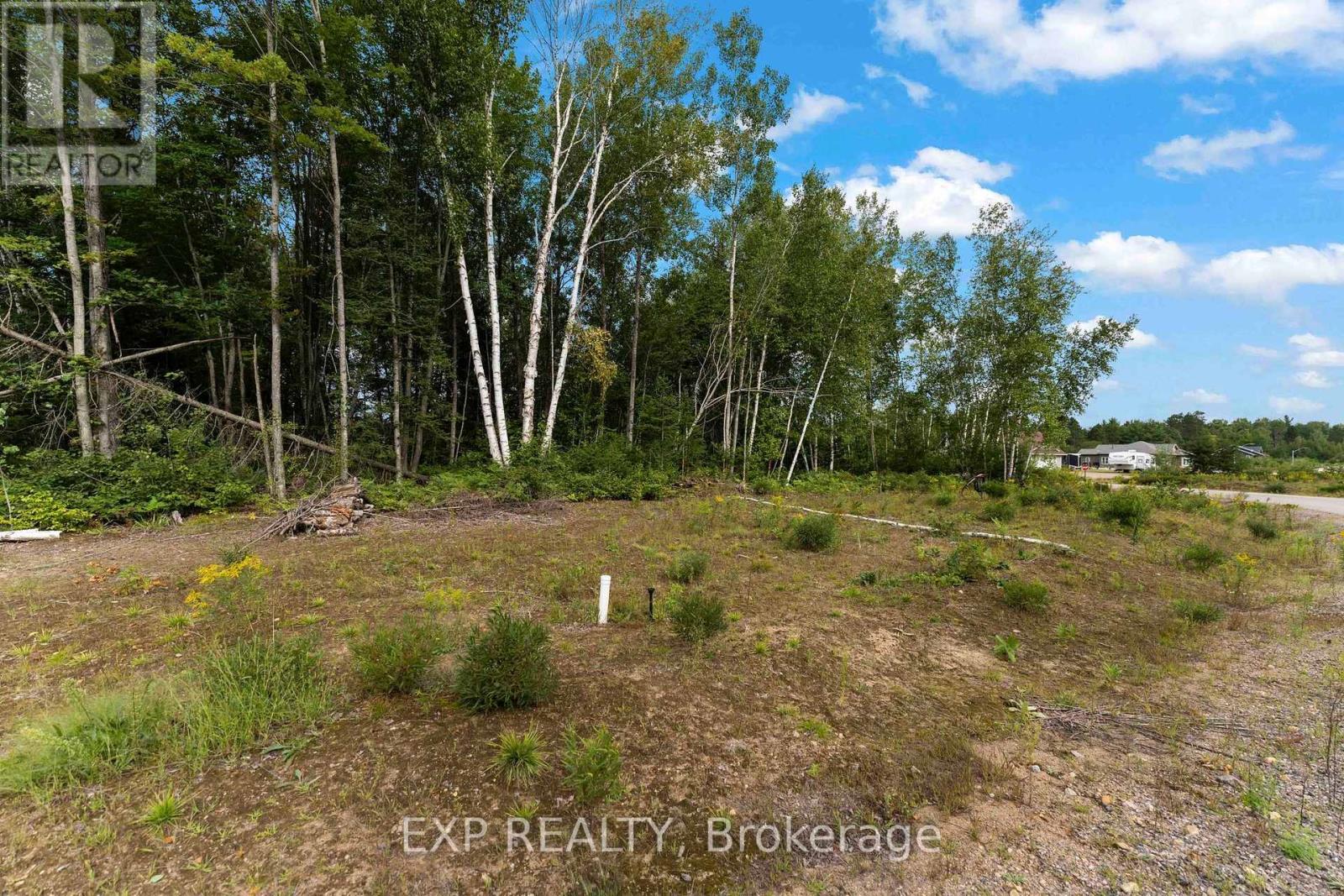 Lot 14 Birchview Drive, Madawaska Valley, Ontario  K0J 1B0 - Photo 5 - X13716204