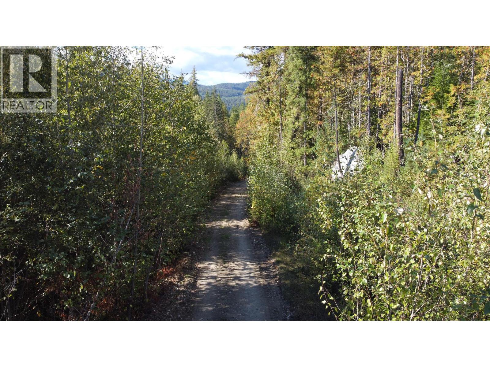 Lot A & Lot 6 Anstey Arm, Sicamous, British Columbia  V0E 2V0 - Photo 21 - 10397486