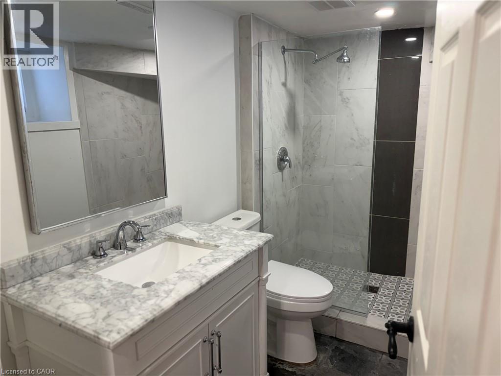207 Charlton Avenue W, Hamilton, Ontario  L8P 2E3 - Photo 10 - 40844031