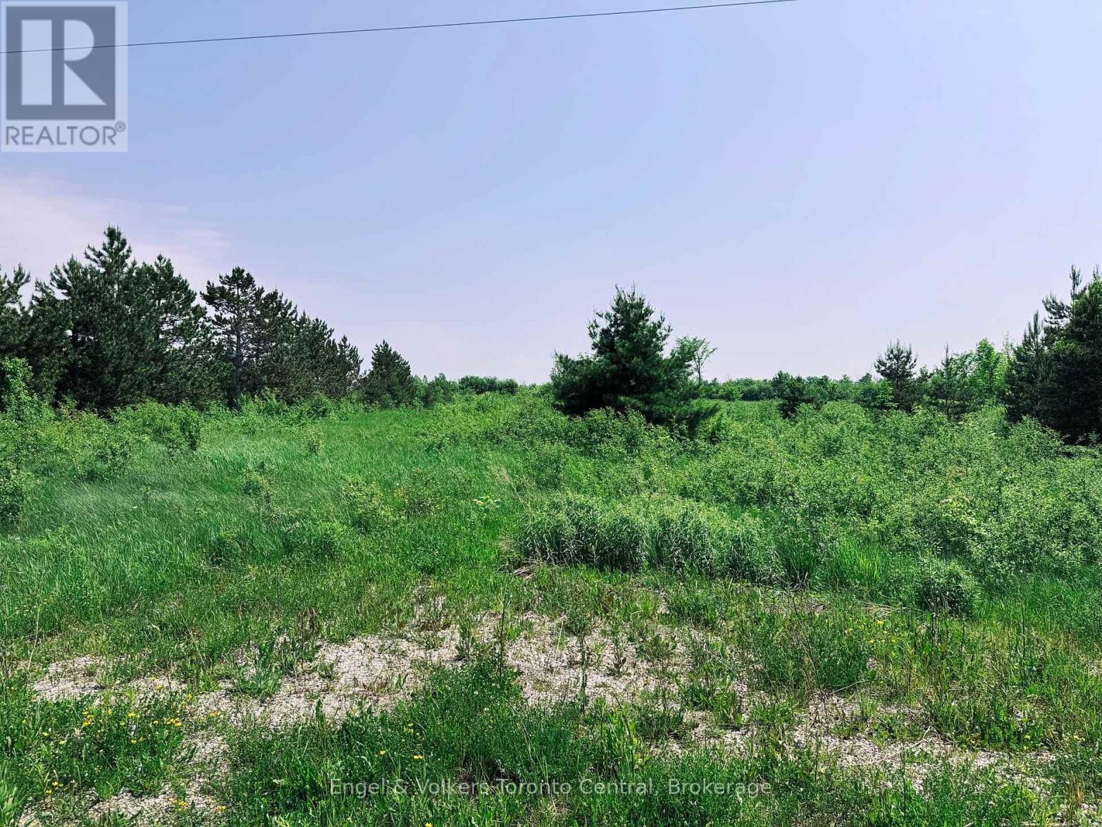 121 Robertson Avenue, Meaford, Ontario  N4L 1W7 - Photo 4 - X13716438