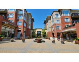 217 2970 KING GEORGE BOULEVARD, Surrey, British Columbia