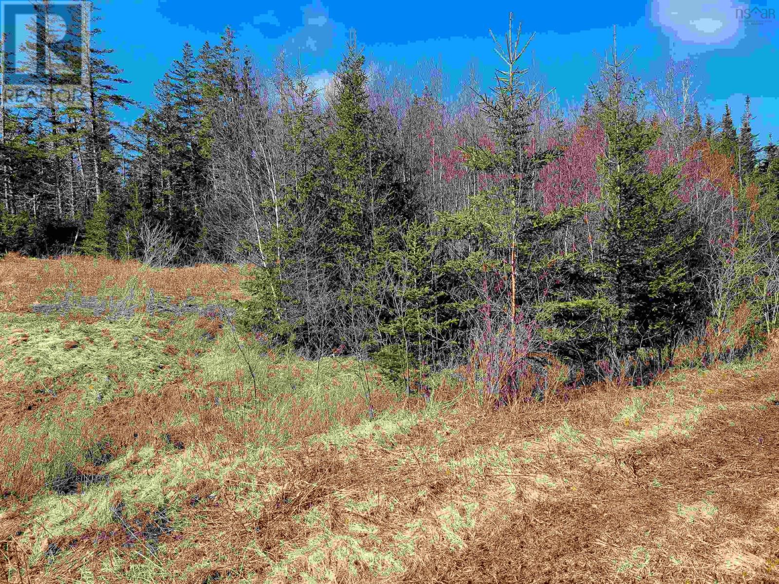 Lot 11 Matway Dr, St. Peter's, Nova Scotia  B0E 3B0 - Photo 6 - 202607392