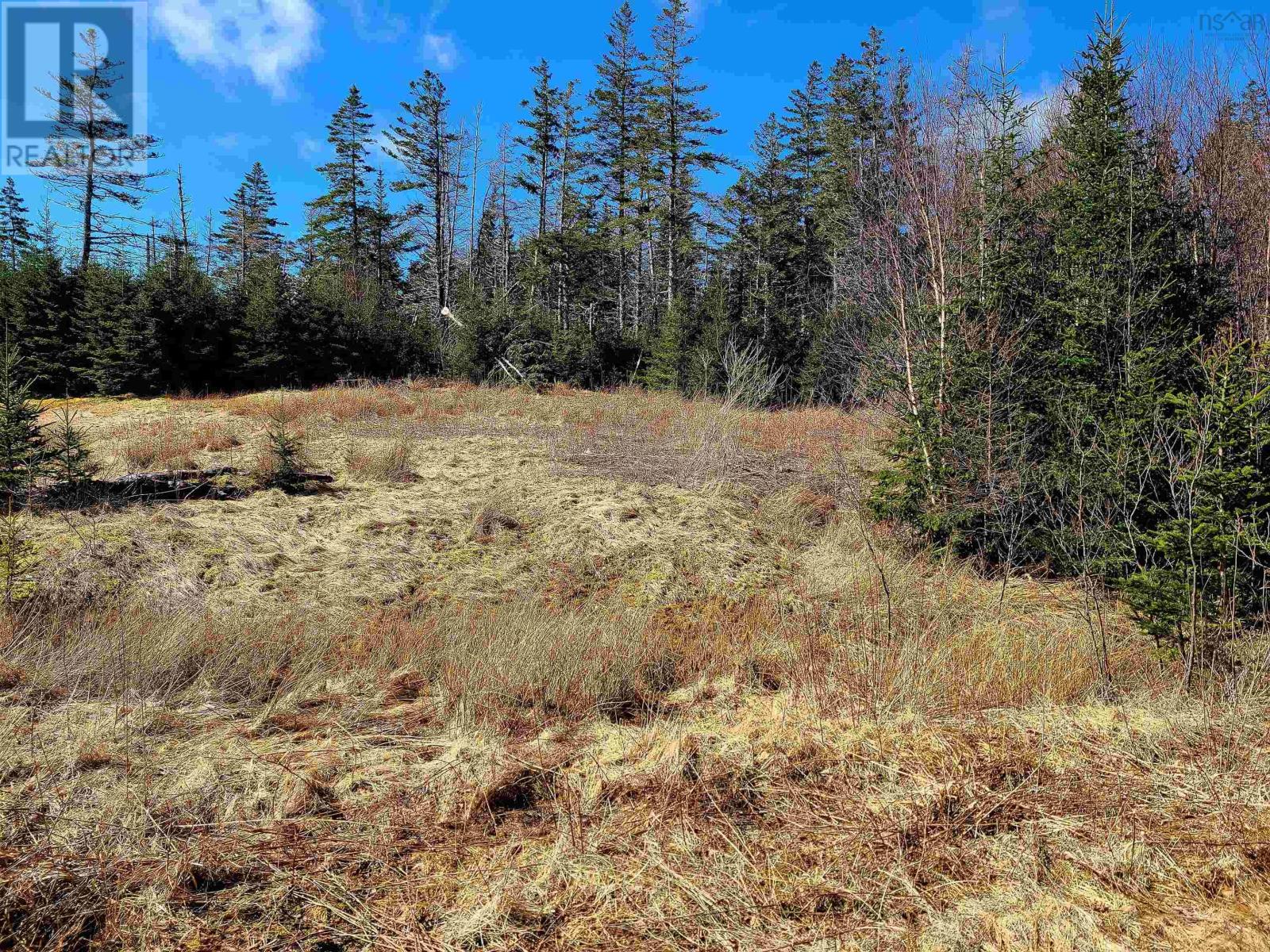 Lot 11 Matway Dr, St. Peter's, Nova Scotia  B0E 3B0 - Photo 7 - 202607392