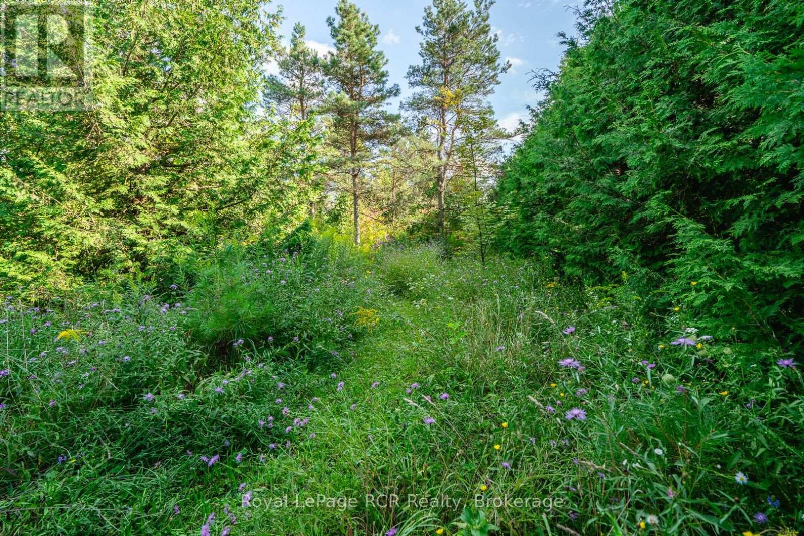 323199 Durham Road E, West Grey, Ontario  N0G 1R0 - Photo 47 - X13716556