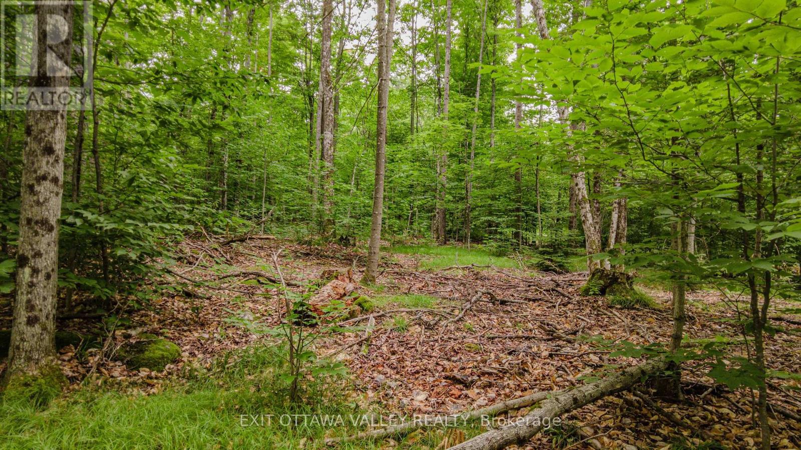 0 Peplinskie Road, Madawaska Valley, Ontario  K0J 1L0 - Photo 15 - X13570844