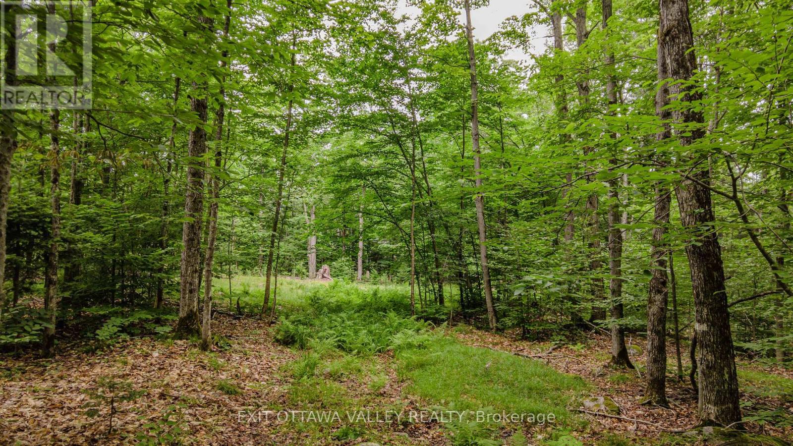 0 Peplinskie Road, Madawaska Valley, Ontario  K0J 1L0 - Photo 14 - X13570844