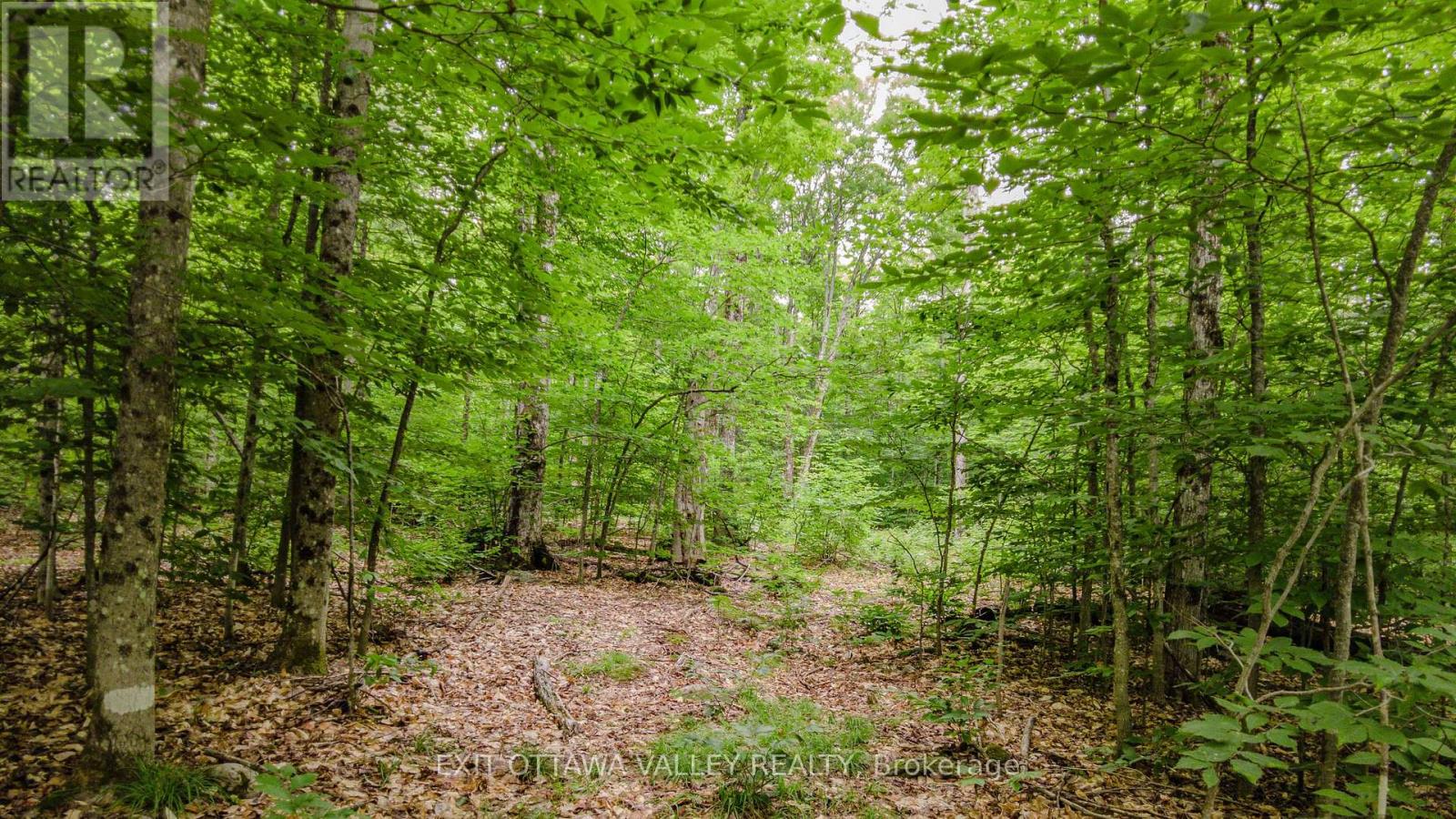 0 Peplinskie Road, Madawaska Valley, Ontario  K0J 1L0 - Photo 10 - X13570844
