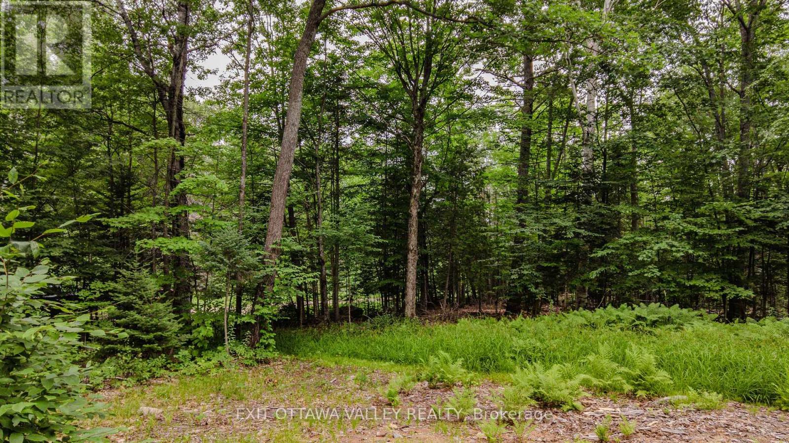 0 Peplinskie Road, Madawaska Valley, Ontario  K0J 1L0 - Photo 18 - X13570844