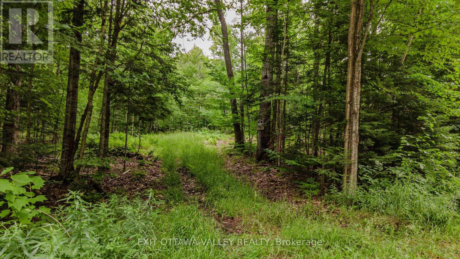 0 Peplinskie Road — photo 2
