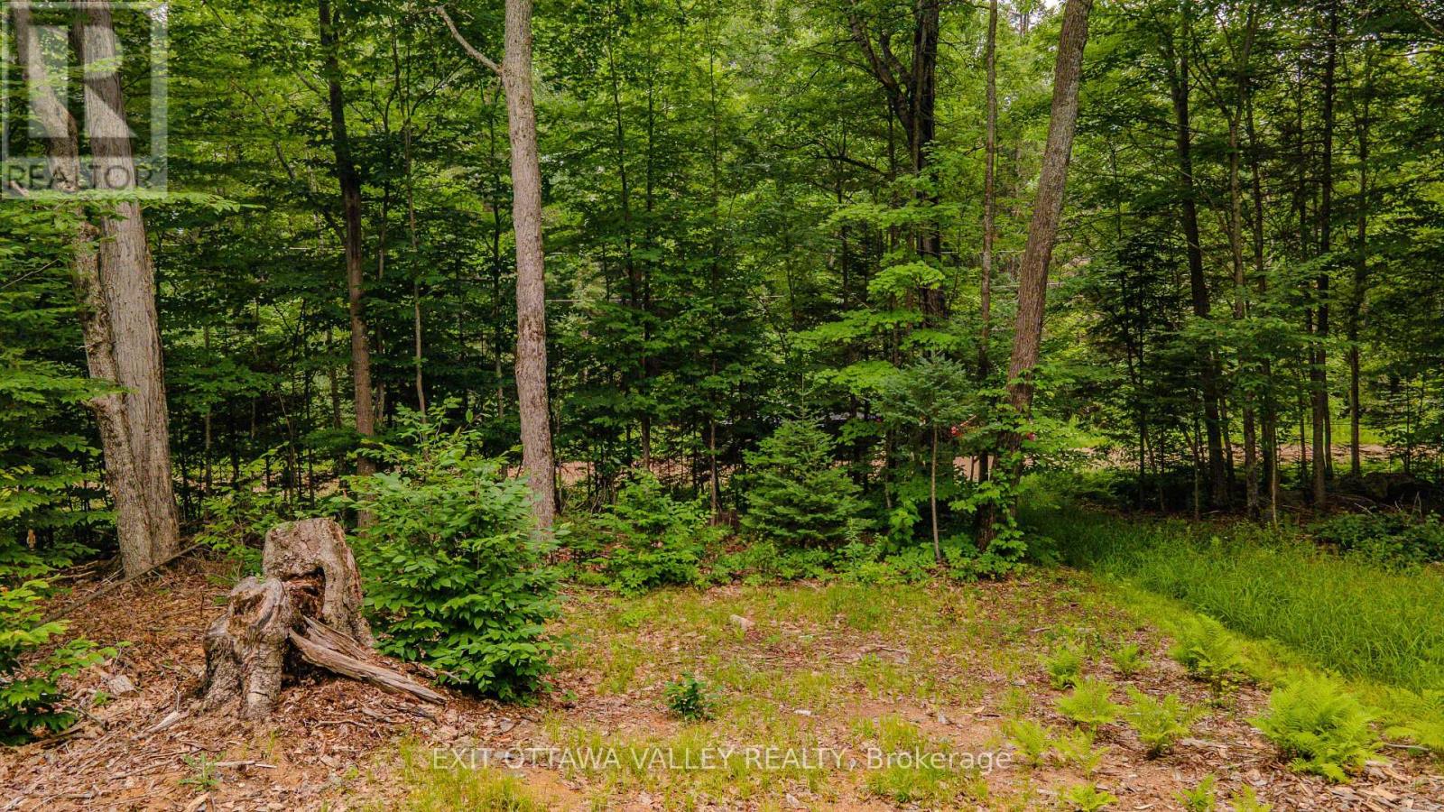 0 Peplinskie Road, Madawaska Valley, Ontario K0J 1L0 - Photo 6 - X13570844