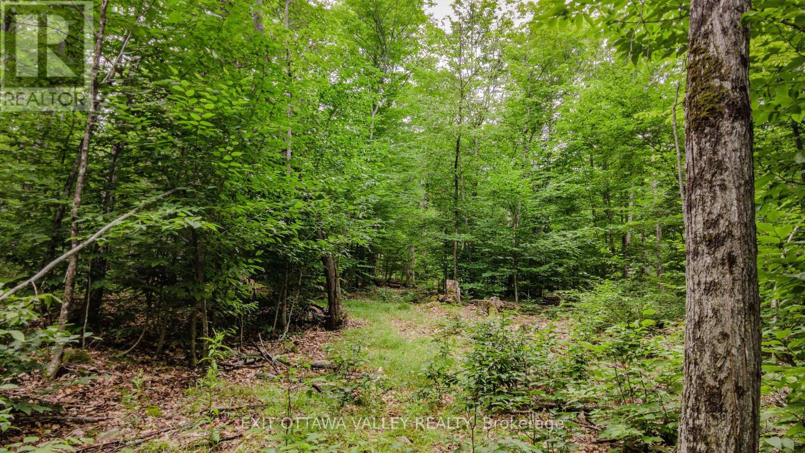 0 Peplinskie Road, Madawaska Valley, Ontario  K0J 1L0 - Photo 13 - X13570844