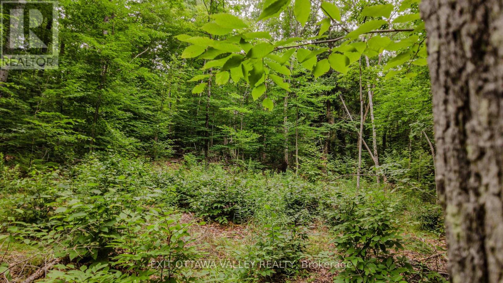 0 Peplinskie Road, Madawaska Valley, Ontario  K0J 1L0 - Photo 17 - X13570844