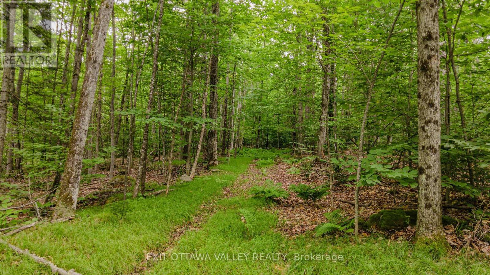 0 Peplinskie Road, Madawaska Valley, Ontario K0J 1L0 - Photo 5 - X13570844