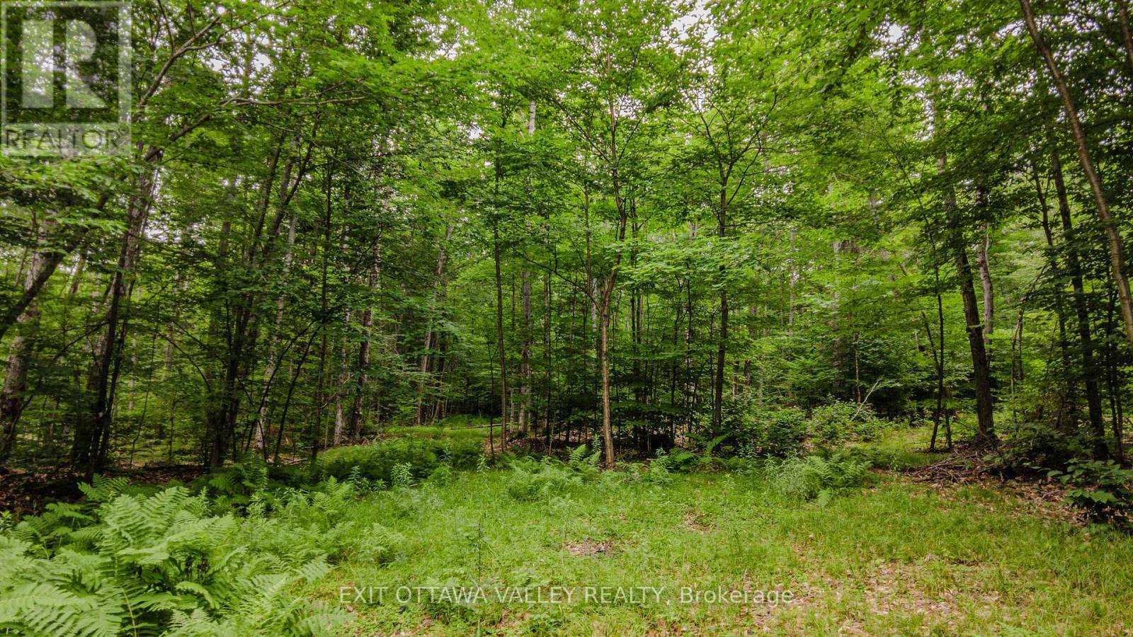 0 Peplinskie Road, Madawaska Valley, Ontario  K0J 1L0 - Photo 16 - X13570844