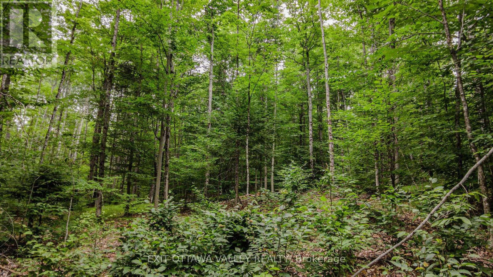 0 Peplinskie Road, Madawaska Valley, Ontario  K0J 1L0 - Photo 11 - X13570844