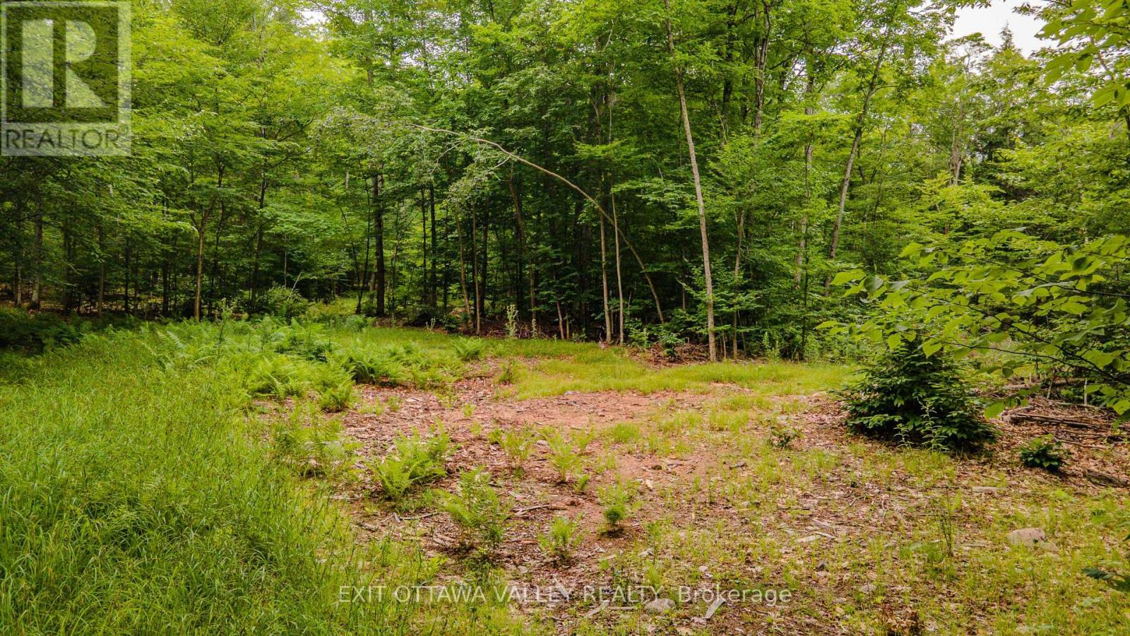 0 Peplinskie Road, Madawaska Valley, Ontario  K0J 1L0 - Photo 12 - X13570844
