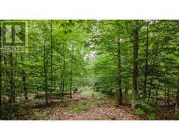 0 PEPLINSKIE ROAD, Madawaska Valley, Ontario