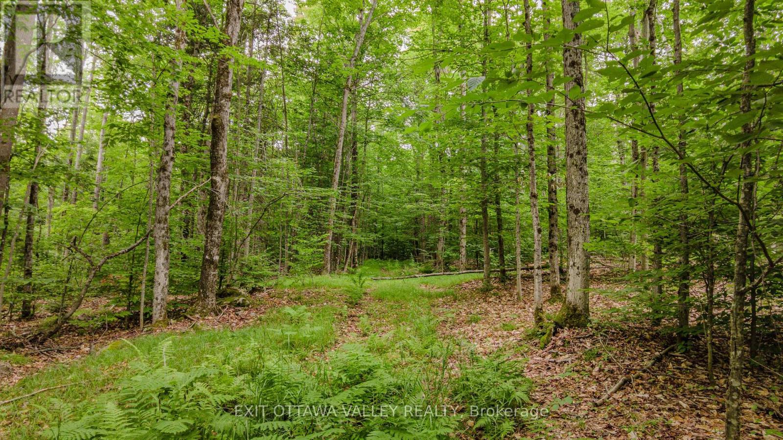 0 Peplinskie Road, Madawaska Valley, Ontario  K0J 1L0 - Photo 9 - X13570844