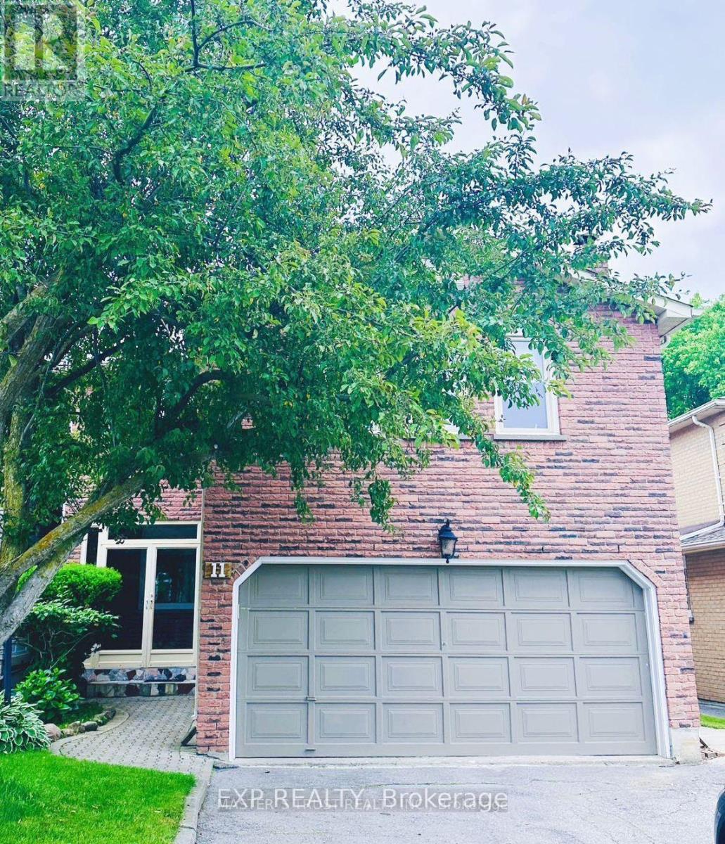 LOWER - 11 MARION CRESCENT, Markham, Ontario