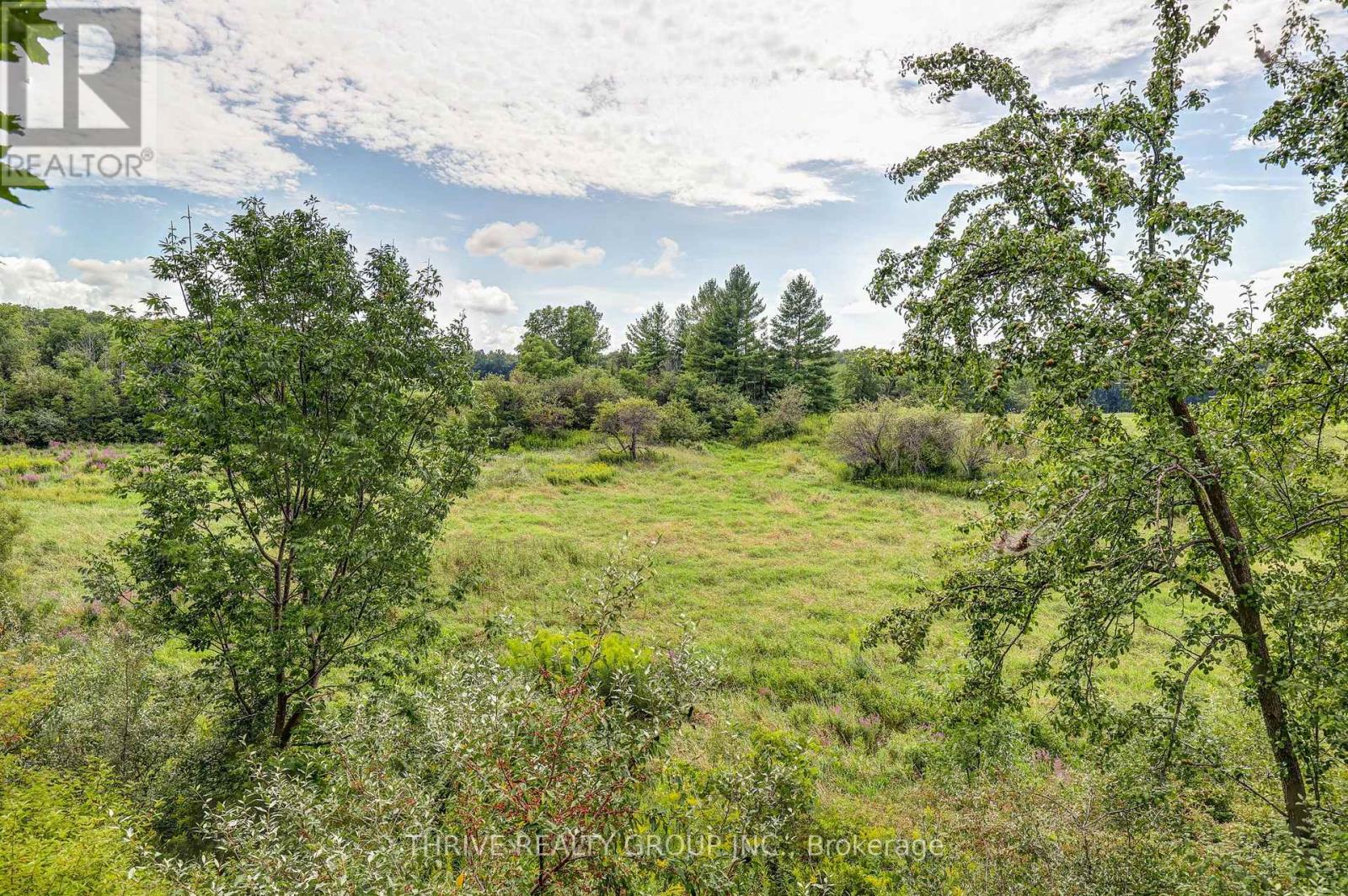 21217 Thames Road, Southwest Middlesex, Ontario  N0L 1A0 - Photo 50 - X13716656