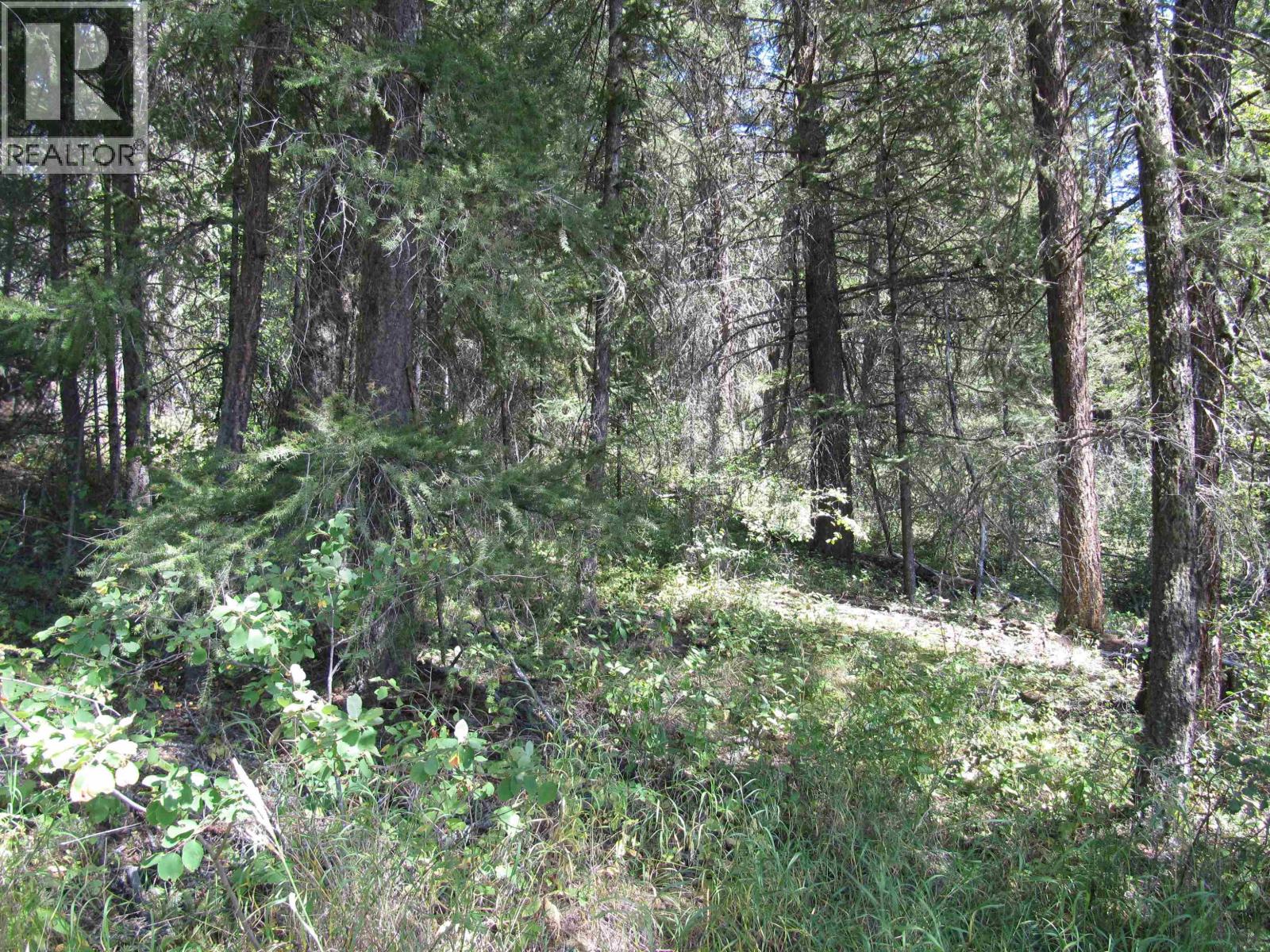 picture 32