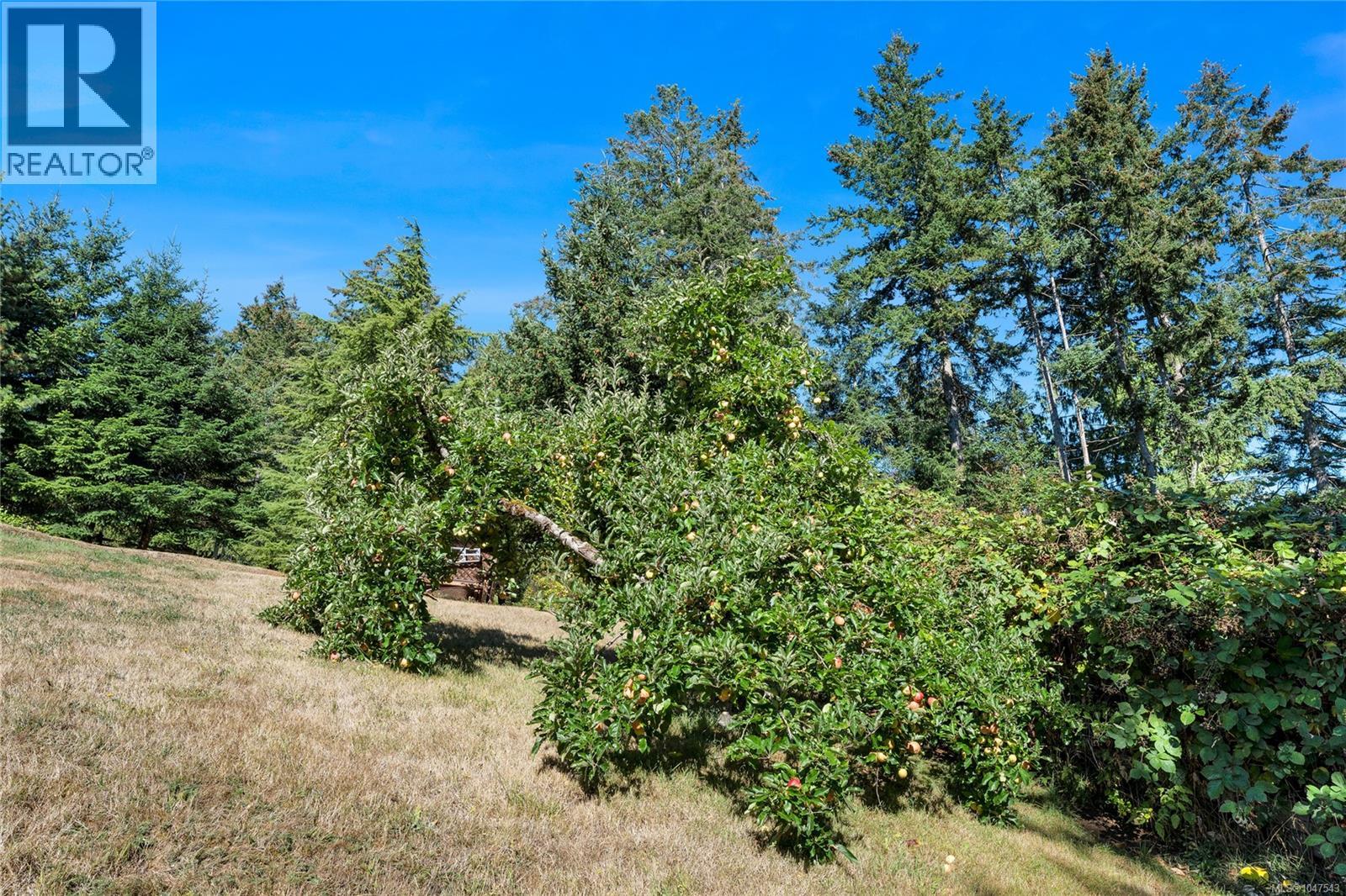330 Saltspring Way, Salt Spring, British Columbia  V8K 2G7 - Photo 56 - 1047543