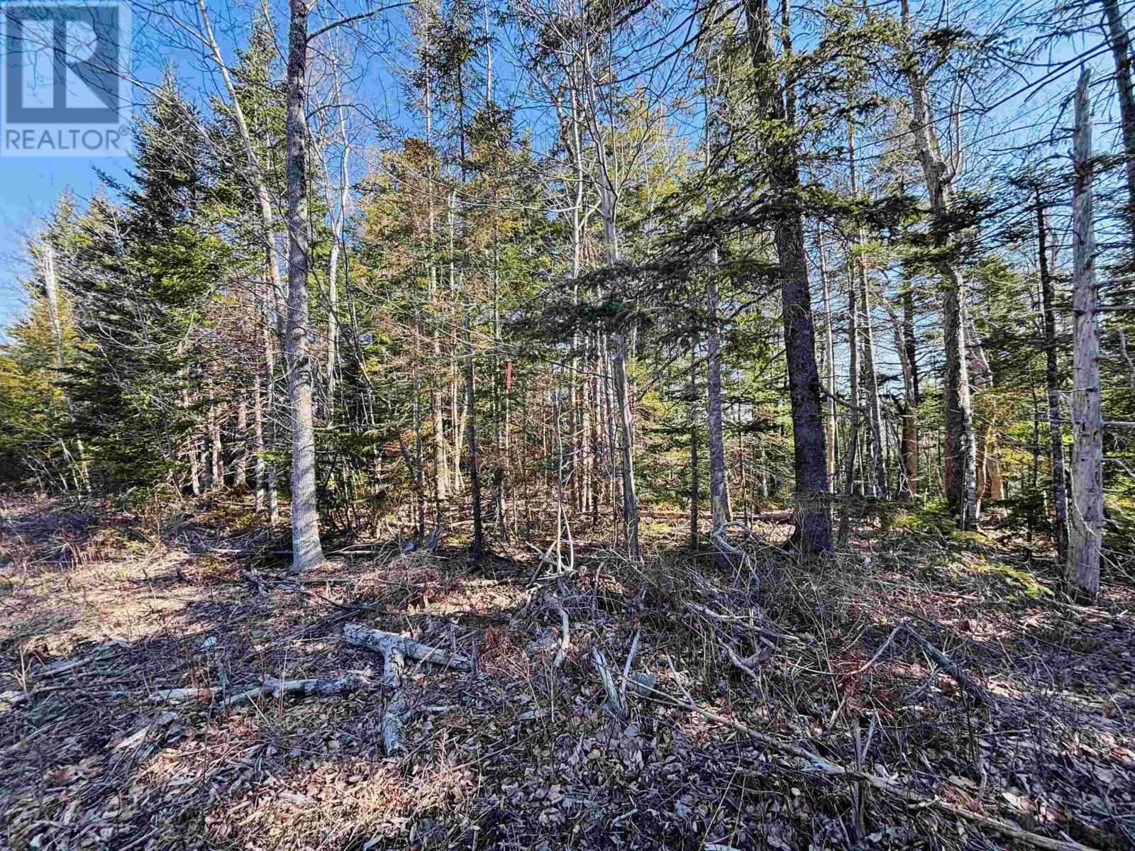 Lot 1 Oldham Road, Enfield, Nova Scotia  B2T 1E2 - Photo 9 - 202603846
