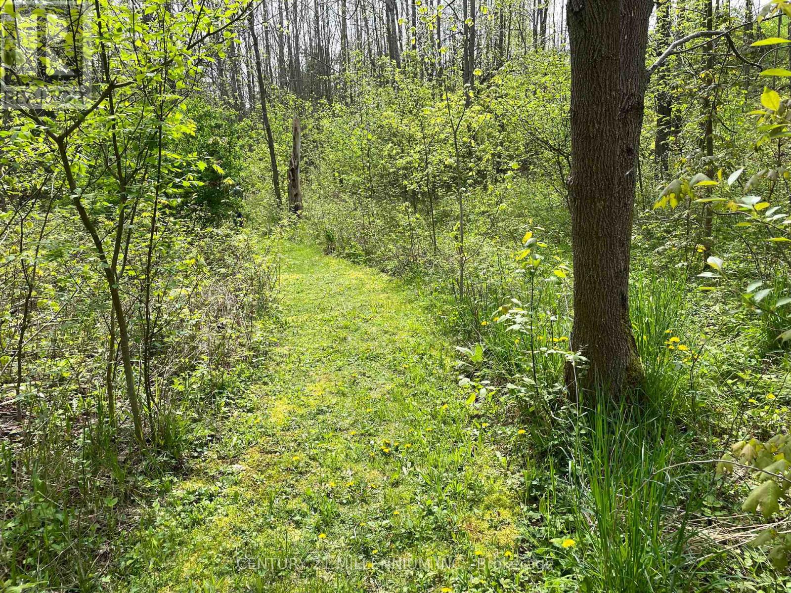 597334 2nd Line W, Mulmur, Ontario  L9V 0B4 - Photo 37 - X13486228