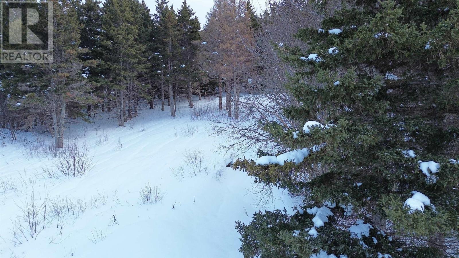 3166 Highway 19, Craigmore, Nova Scotia  B0E 1P0 - Photo 24 - 202603374