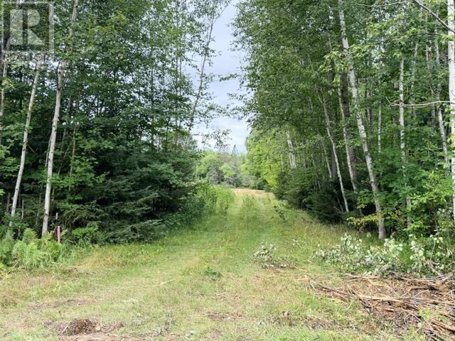 3 River Dr, Blind River, Ontario  P0R 1B0 - Photo 1 - SM262332