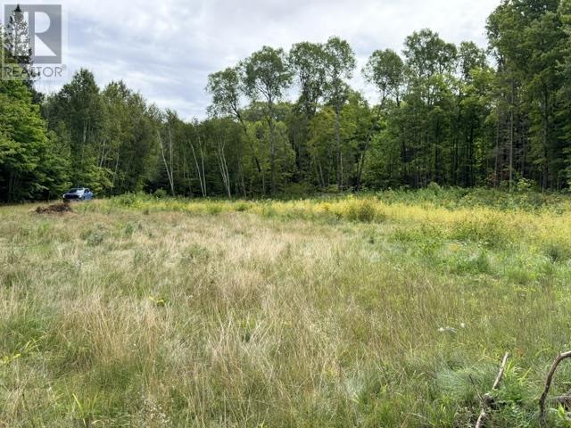3 River Dr, Blind River, Ontario  P0R 1B0 - Photo 10 - SM262332