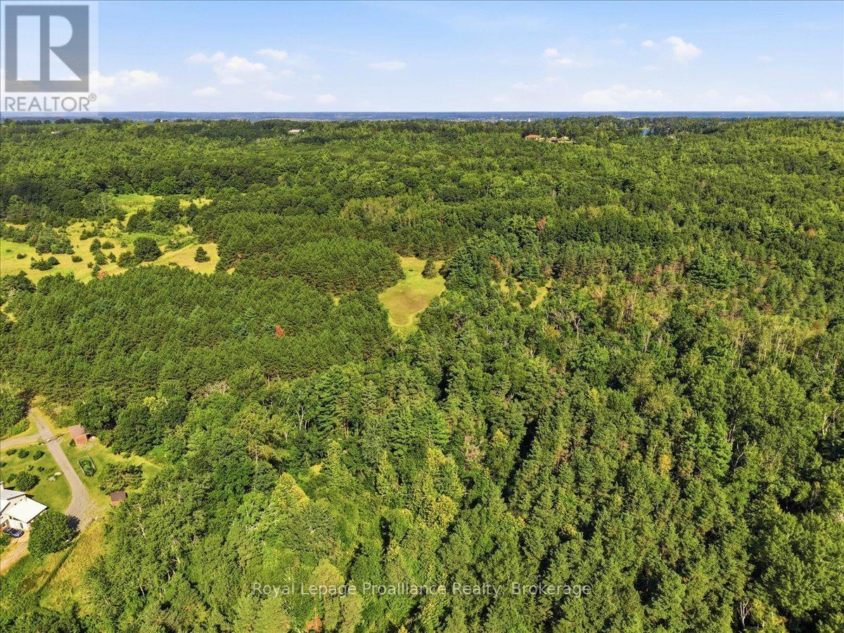 254 Airport Road, Quinte West, Ontario  K0K 3E0 - Photo 43 - X13707030