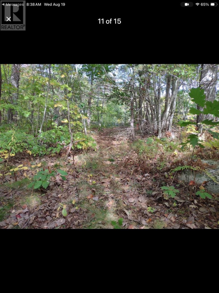 48 Hudson St, Blind River, Ontario  P0R 1B0 - Photo 13 - SM262333
