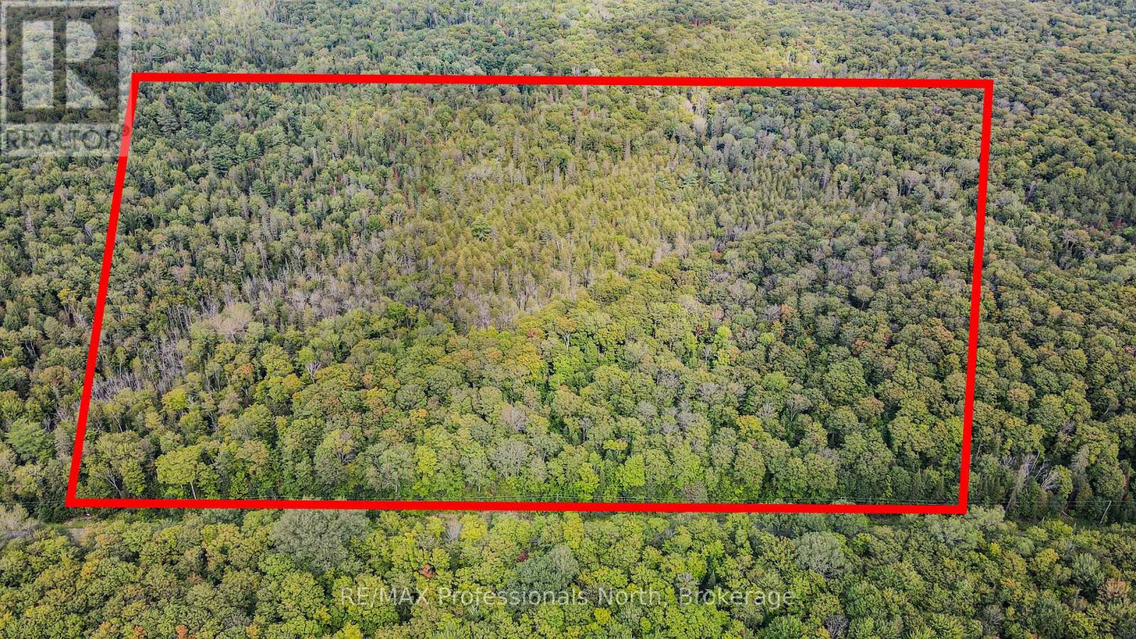 0 Glamor Lake Road, Highlands East, Ontario  K0M 1R0 - Photo 8 - X13705768