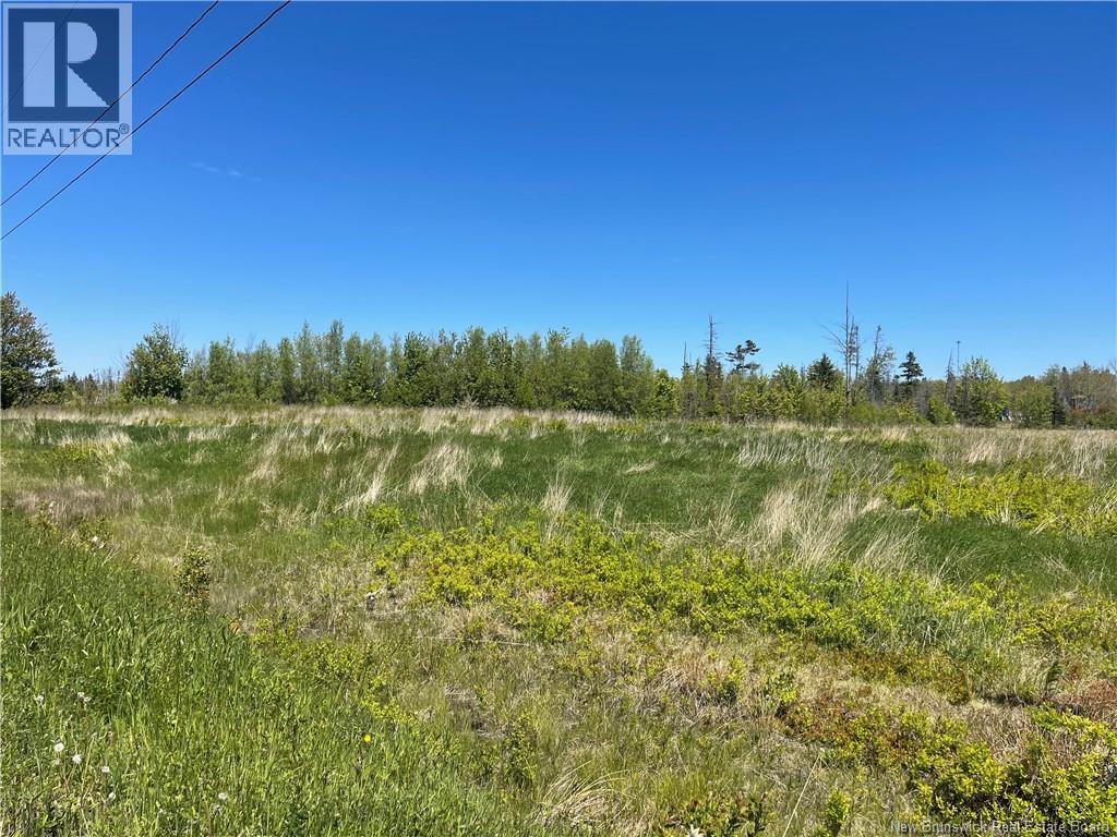235 Pointe-A-Nicet Road, Grand-Barachois, New Brunswick  E4P 8Z7 - Photo 5 - NB132555