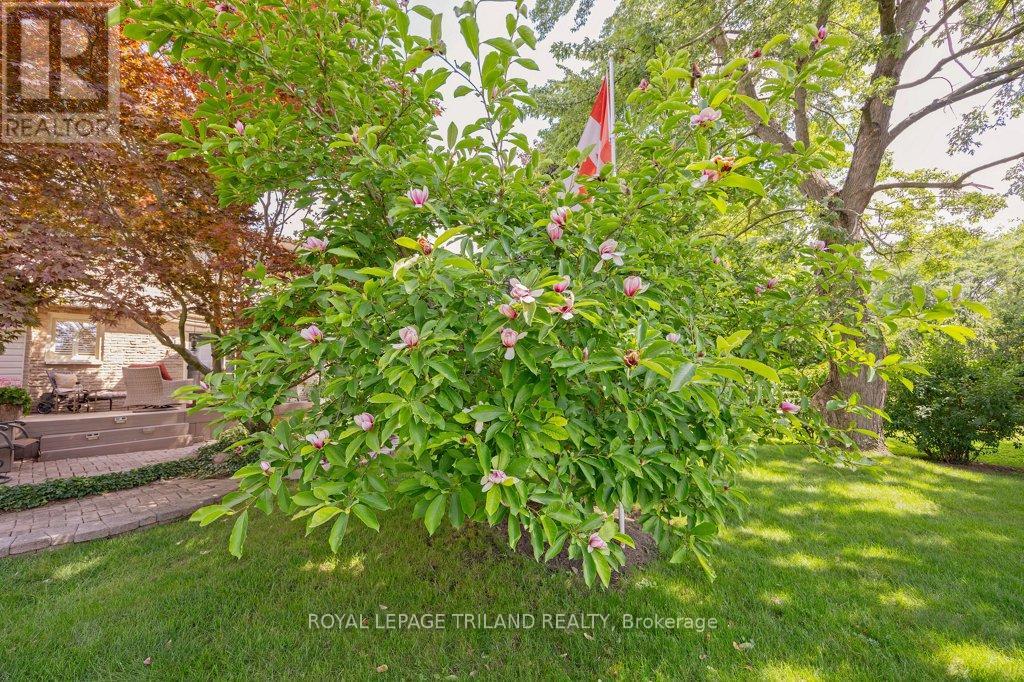 48 Westbury Avenue, London South, Ontario  N6J 3G1 - Photo 44 - X13717018