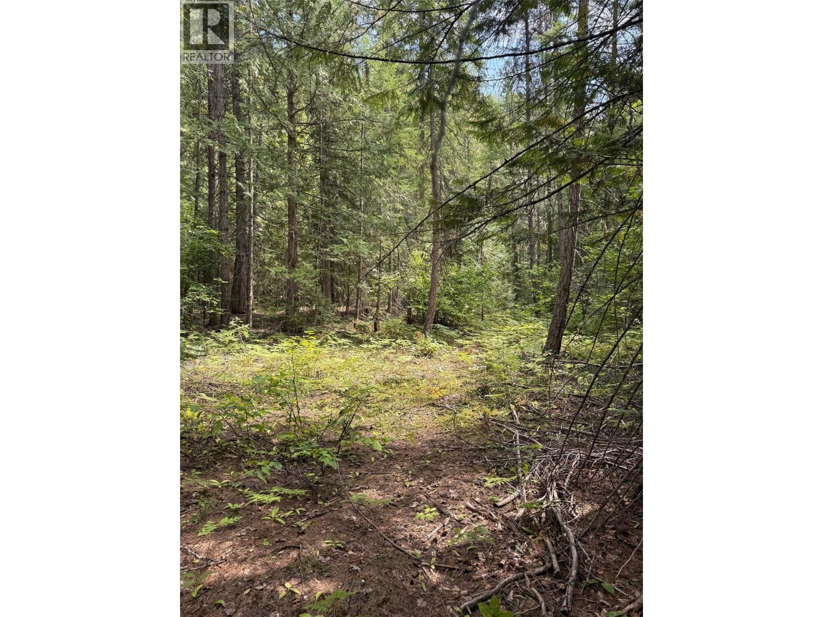 Claybrick Road Lot# 7, Winlaw, British Columbia V0G 2J0 - Photo 10 - 10398541