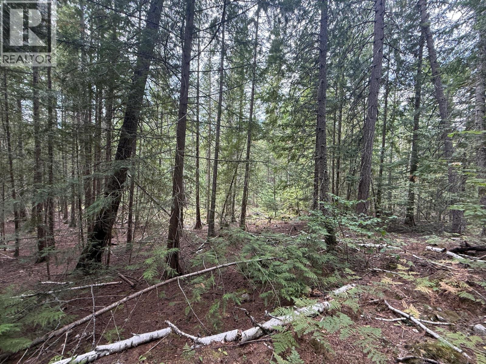 Claybrick Road Lot# 7, Winlaw, British Columbia V0G 2J0 - Photo 11 - 10398541