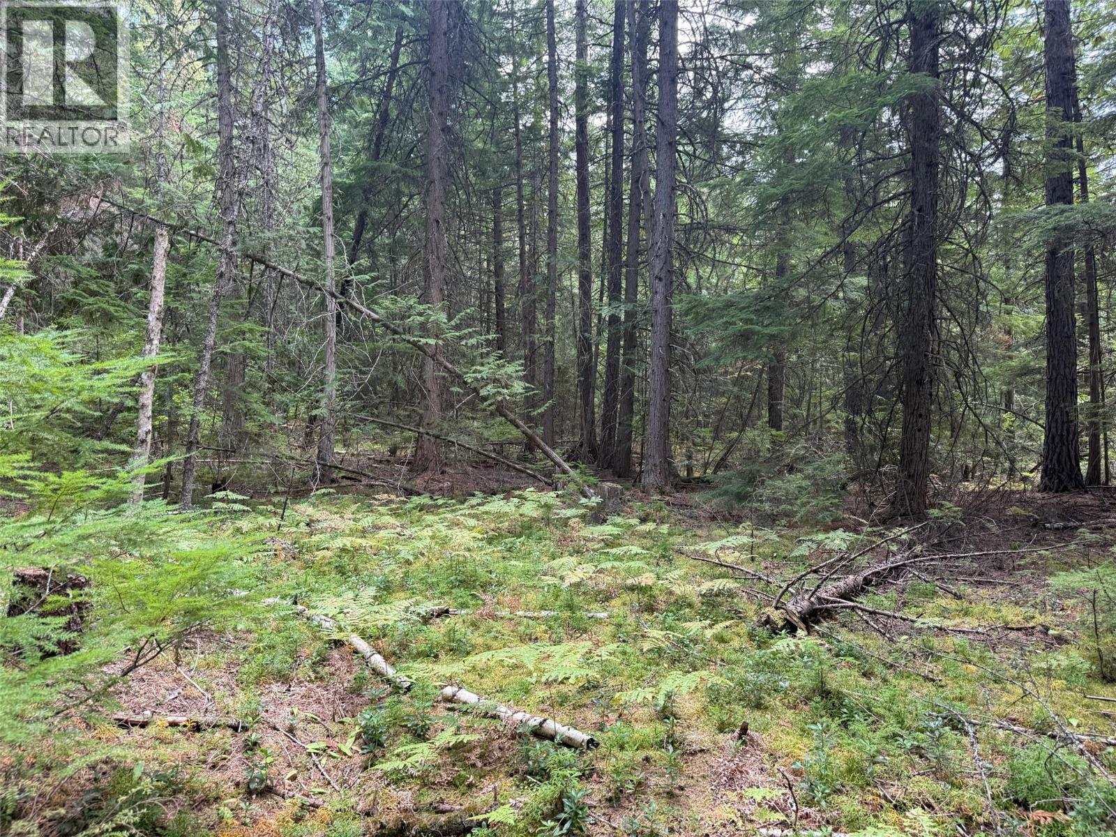 Claybrick Road Lot# 7, Winlaw, British Columbia V0G 2J0 - Photo 5 - 10398541