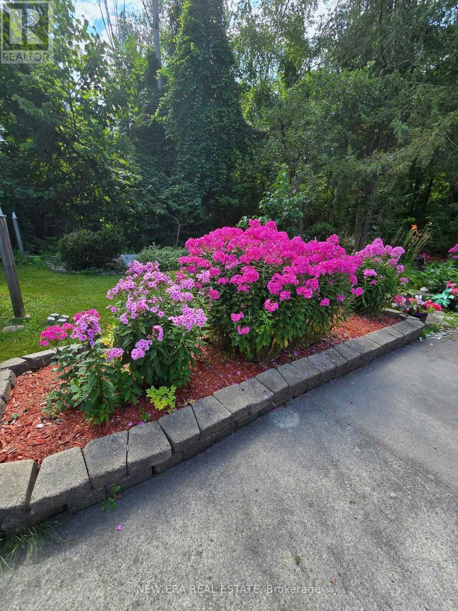 645 Hatton Avenue, Selwyn, Ontario  K0L 1H0 - Photo 47 - X13515128