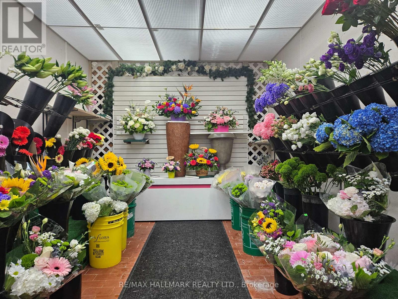 2373 Kingston Road, Toronto, Ontario M1N 1V1 - Photo 4 - E13708442