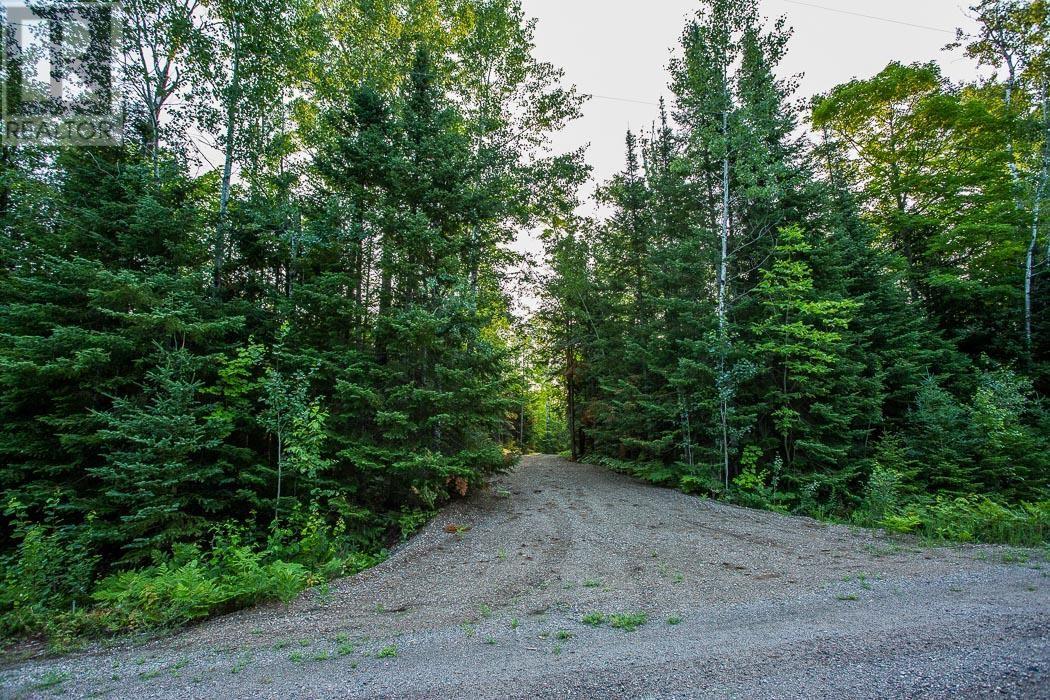 Lot 28 Richmond Bay Rd, Hilton Township, St. Joseph Island, Ontario  P0R 1G0 - Photo 11 - SM252930