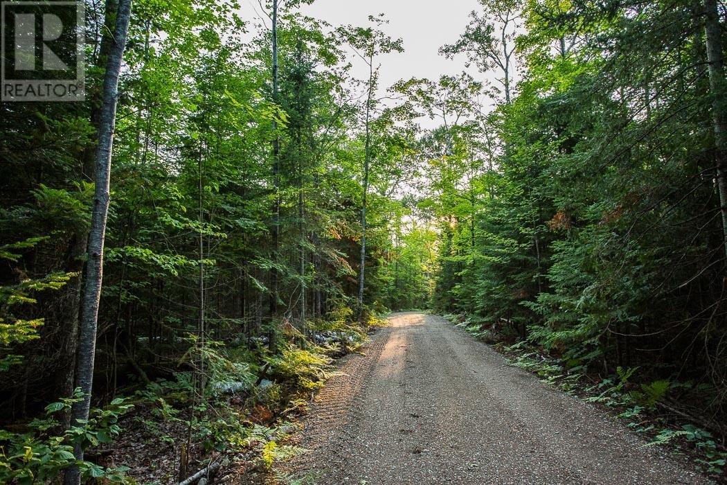 Lot 28 Richmond Bay Rd, Hilton Township, St. Joseph Island, Ontario  P0R 1G0 - Photo 13 - SM252930