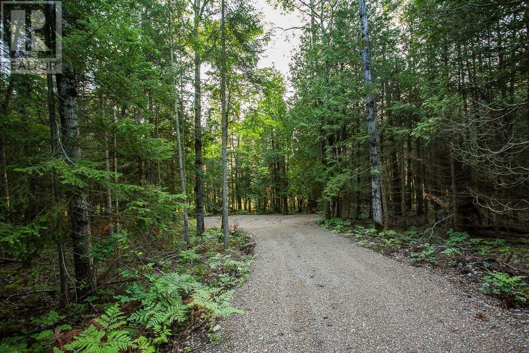 Lot 28 Richmond Bay Rd, Hilton Township, St. Joseph Island, Ontario  P0R 1G0 - Photo 20 - SM252930